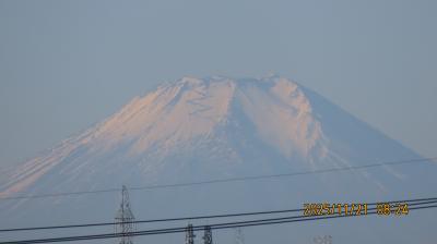 久し振りに美しい富士山が見られました