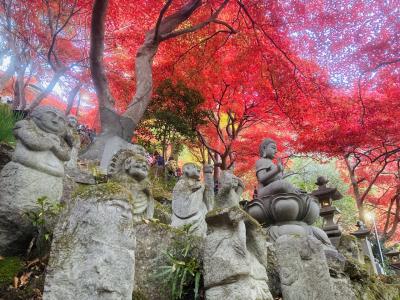 大山寺の紅葉を見に山登り