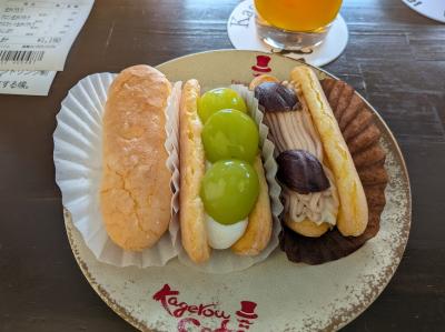 47都道府県コンプリート達成、初めての和歌山・白浜の旅①