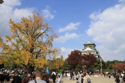 大阪城の紅葉（2025年11月14日）
