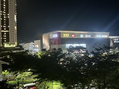 初めてのインドネシア・ジャカルタ出張