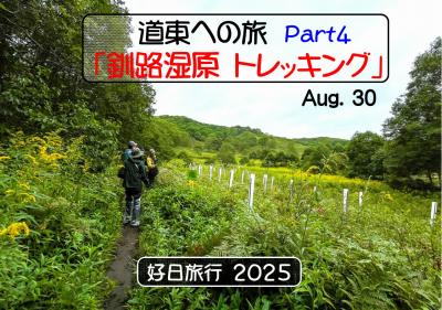 好日旅行2025　道東への旅　part４「釧路湿原トレッキング」