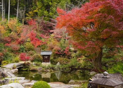 2025.11 滋賀屈指7つの紅葉名所と「湖南三山」「湖東三山」(1)湖南三山・善水寺