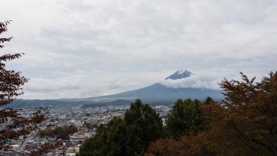富士山をちゃんと見たことなかったので山梨へ行ってきた①