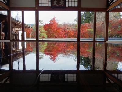 紅葉のわたらせ渓谷鉄道　宝徳寺の床もみじ
