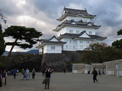 秋の乗り放題パス(最後の旅？)【沼津と小田原のマンホール収集】