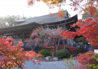 2025.11 滋賀屈指7つの紅葉名所と「湖南三山」「湖東三山」(2)湖南三山・常楽寺