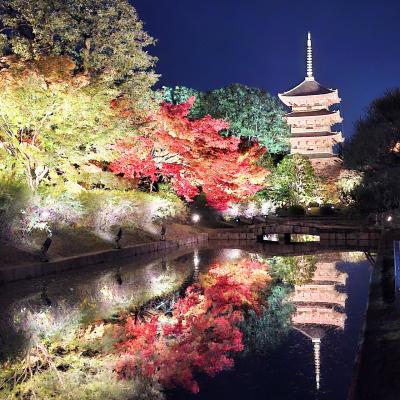 京都の魅力は奥深かった！・・大人の修学旅行③最終章☆☆