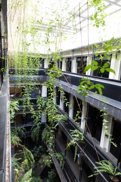 20251123 台東 火車站から市區移動して、路得行旅國際青年旅館へ。阿咪米苔目で名物米苔目とか、四維夜市では烤肉刈包とか。