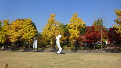 紅葉が美しいオリンピック記念公園～～日本の皇室には韓国人の血が流れている？！～～