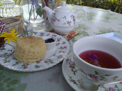 千葉県カフェの旅4