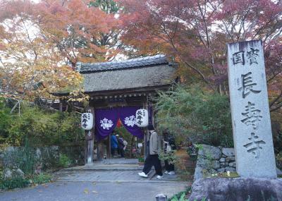 2025.11 滋賀屈指7つの紅葉名所と「湖南三山」「湖東三山」(3)湖南三山・長寿寺