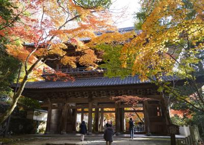 2025.11 滋賀屈指7つの紅葉名所と「湖南三山」「湖東三山」(4)永源寺