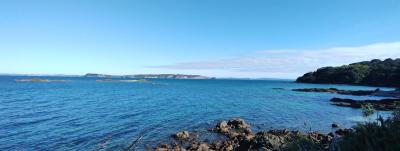 冬のニュージーランド北島で文化と生き物を楽しむ