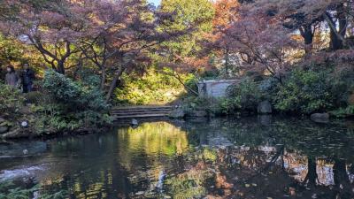 池田山公園、自然教育園などの紅葉巡り　2025年11月