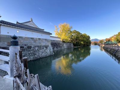 静岡市に出張。志村けんさんを偲んで食べるグルメ・富士と海とお城の風景