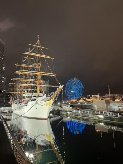 息子の案内で東京見物その前にコブクロ その①