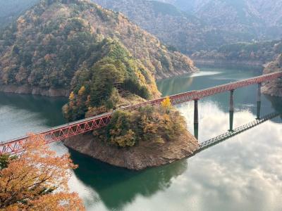 東京 • 静岡3泊4日③