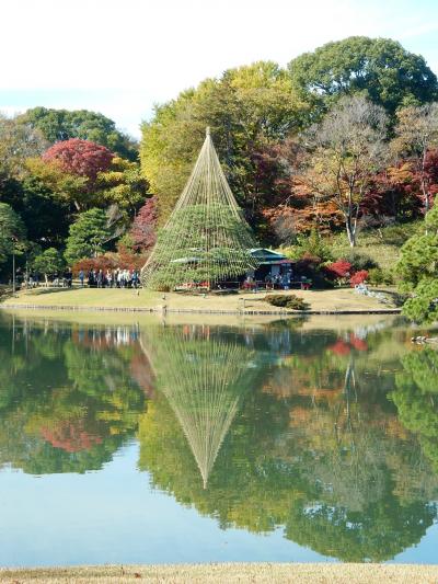 「 晩秋 の 六義園　 ぶらり  さんぽ　」　2025