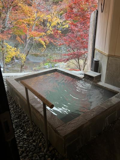 山梨 船山温泉の旅①