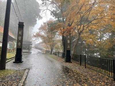 無計画で紅葉の比叡山とサ旅、ちょっとミステリーツアー！？ひらパー、安土城タッチ　@HI新大阪 