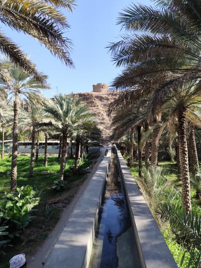 オマーンとサウジアラビア