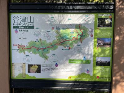 谷津山ハイキング