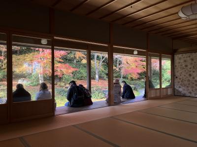 2025.11.27(木曜日)紅葉の嵐山 智積院 清水寺