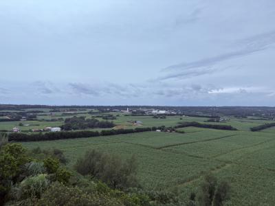 沖縄 離島観光(南大東島編)
