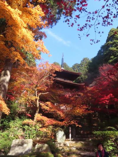 2025愛知・滋賀紅葉の旅　＊DQWお土産3つ　Part.4　湖東三山