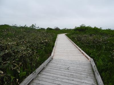 2０25道北の日本海沿岸旅行　第３部　サロベツ原野探訪