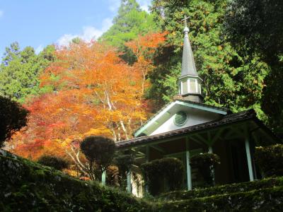 2025年11月　山陰あたりの旅　第２日　津和野、山口線、山口、秋吉台