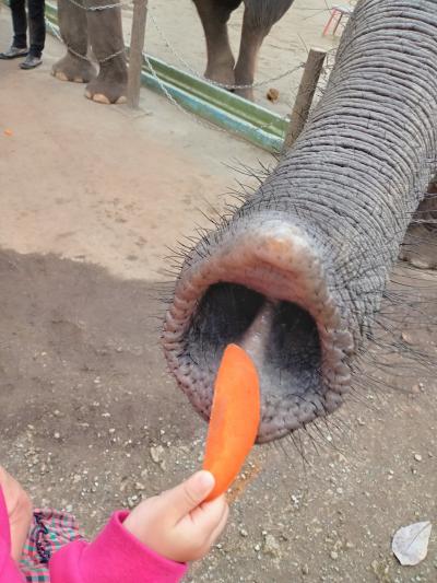 じっくり千葉。動物園に公園巡り。