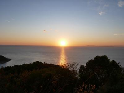 富士山の絶景、箱根から伊豆・修善寺、西伊豆へ