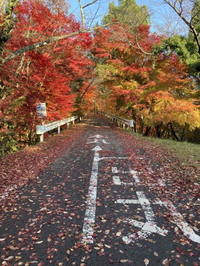 2025年秋　紅葉の滋賀県（小谷城から長浜）