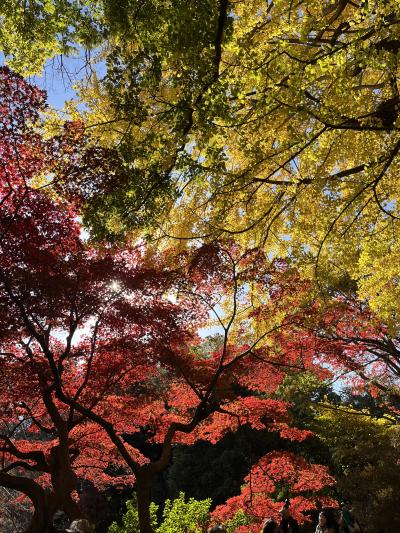 六義園で紅葉狩り