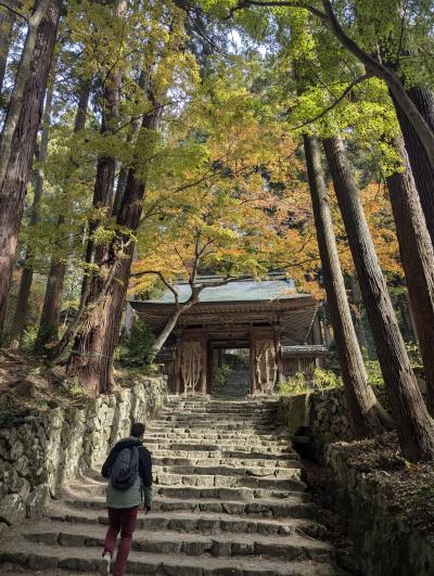 紅葉の百済寺へ