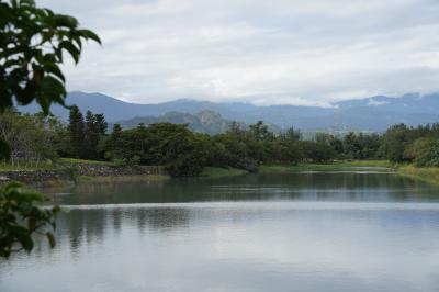 20251130 台東 廟前老店の米苔目→森林公園、鷺鷥湖・花架隧道・琵琶湖・海洋劇場とか歩く→四維夜市で刈包と香腸を外帯で