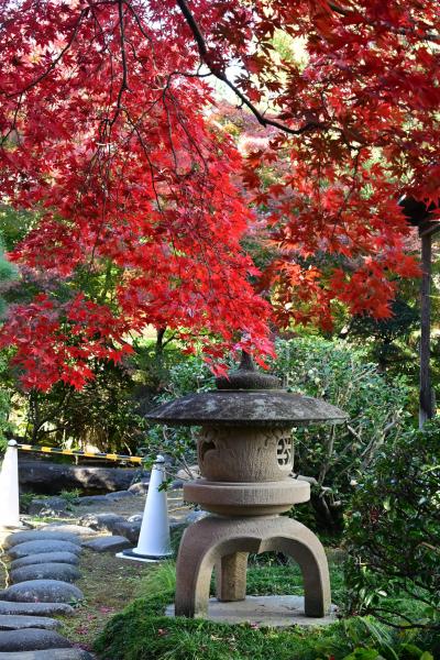 上州ツーリング　高崎　白岩山長谷寺から箕輪城跡・旧下田邸書院及び庭園へ行きました。