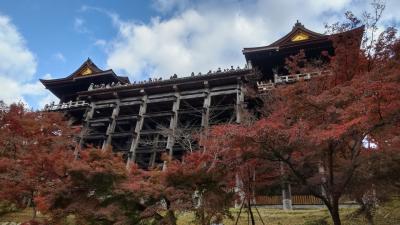 清水寺の紅葉と参道など散策が楽しい