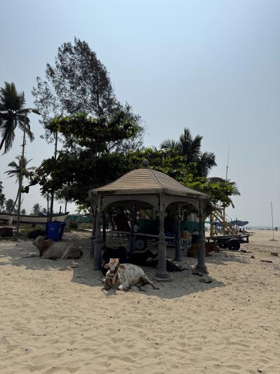 インド一人放浪記