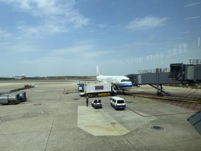 チャイナエアラインで行くぜ！台北→パラオ