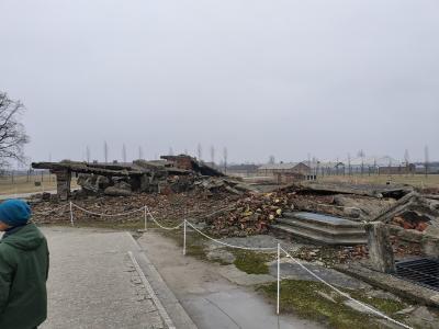 2025 古都 ポーランド クラクフ市内・アウシュビッツ/ビルケナウ収容所 2/23-24