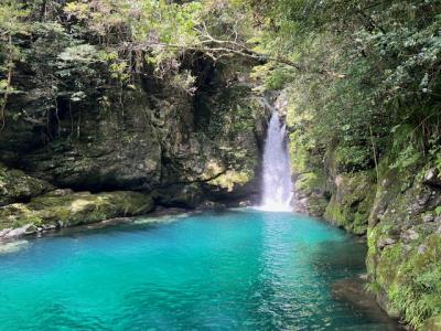 高知　日曜市　仁淀ブルー