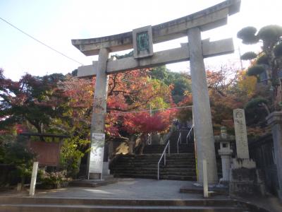 2025年「紅葉八幡宮」の紅葉見頃参拝【天神~紅葉八幡宮移動編】