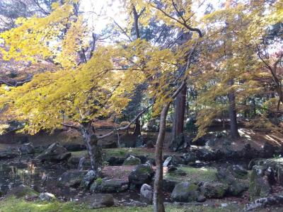 北畠氏館跡庭園の紅葉&#127809;