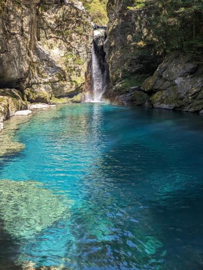 何十年ぶりの高知②