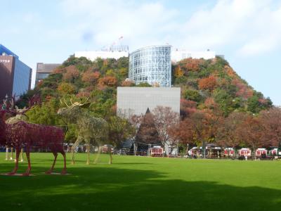 2025年 天神中央公園の紅葉とクリスマス飾りの様子など編