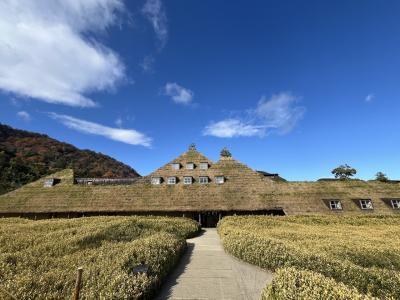 2025年冬 数年ぶりのラコリーナと初めてのロープウェー