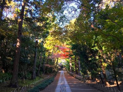 鎌倉2024　源実朝を訪ねる一人旅